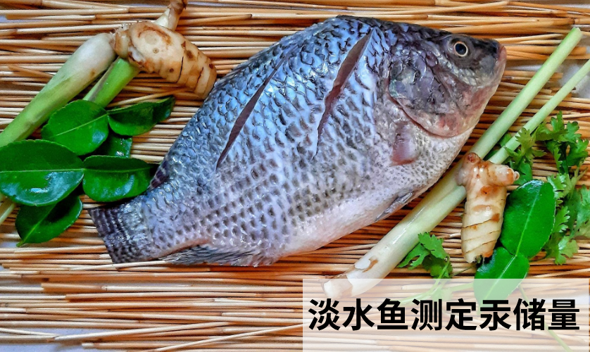 智能石墨消解儀前處理消解淡水魚(yú)測(cè)定汞儲(chǔ)量